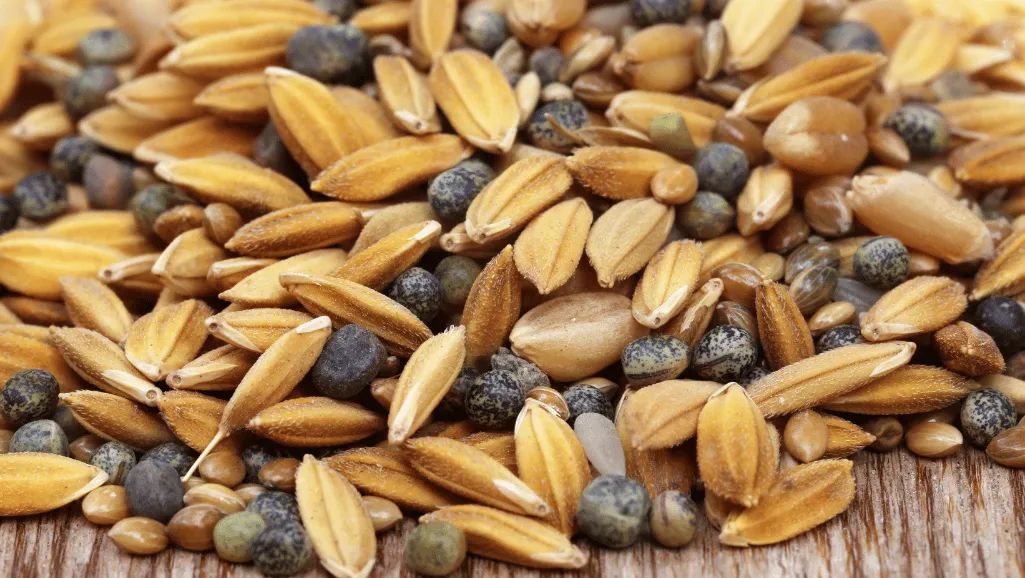 Seed Varieties and Blends Seed Varieties and Blends