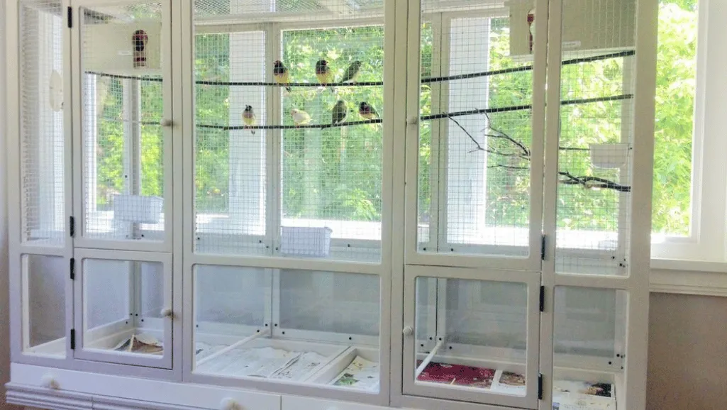 Bird Cage for Finches