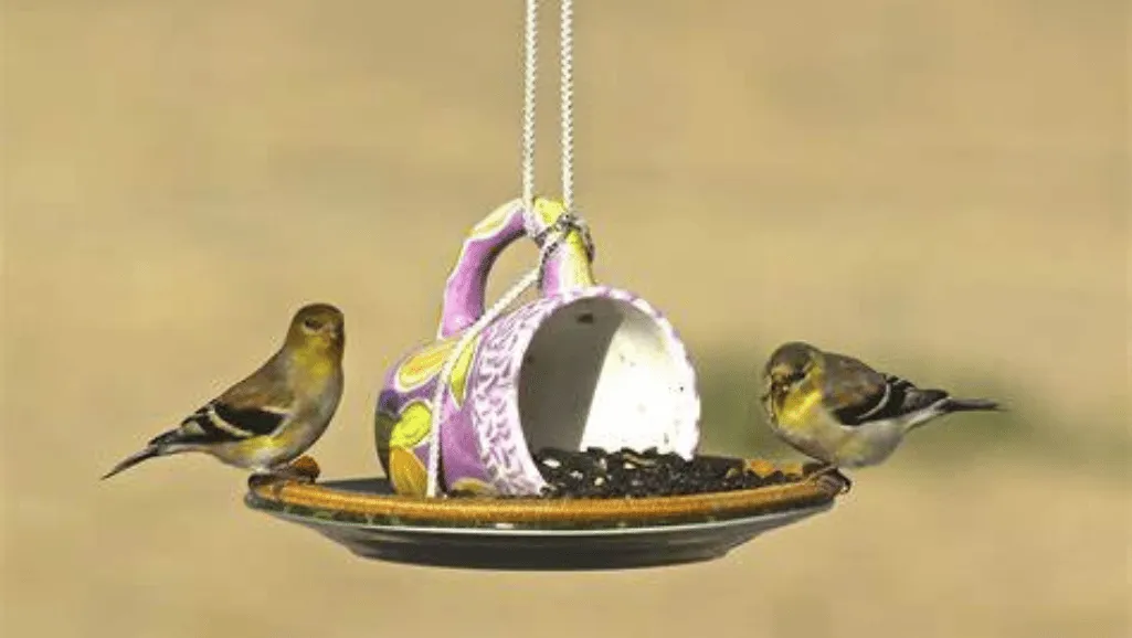 Bird Feeder for Finches