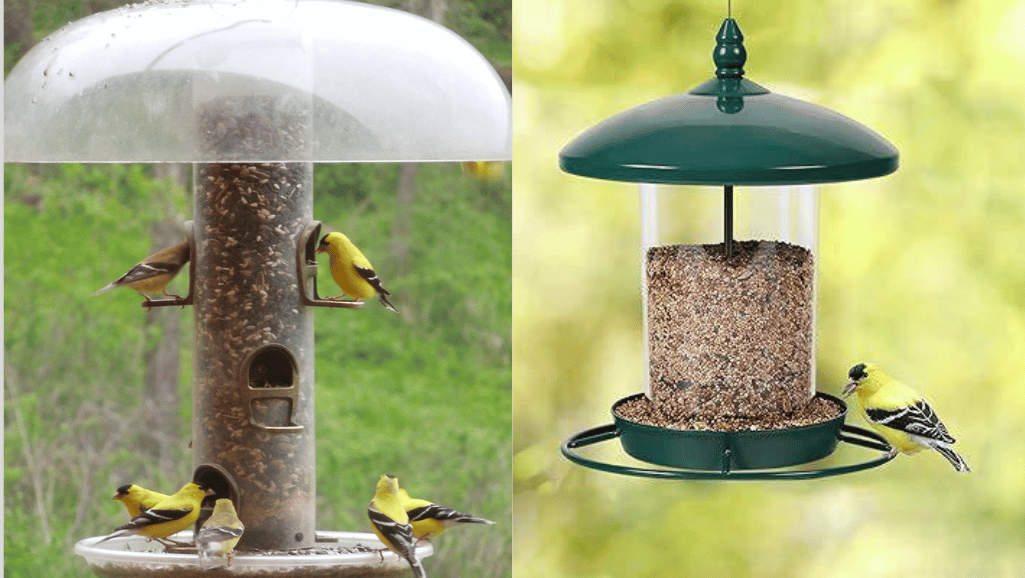 top-rated finch bird feeders