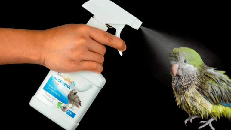 Hygiene Practices for Bird’s Environment