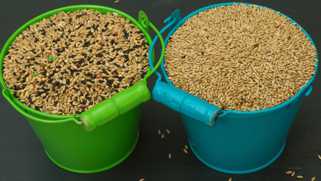 Easily Digestible Foods for Sick Canaries