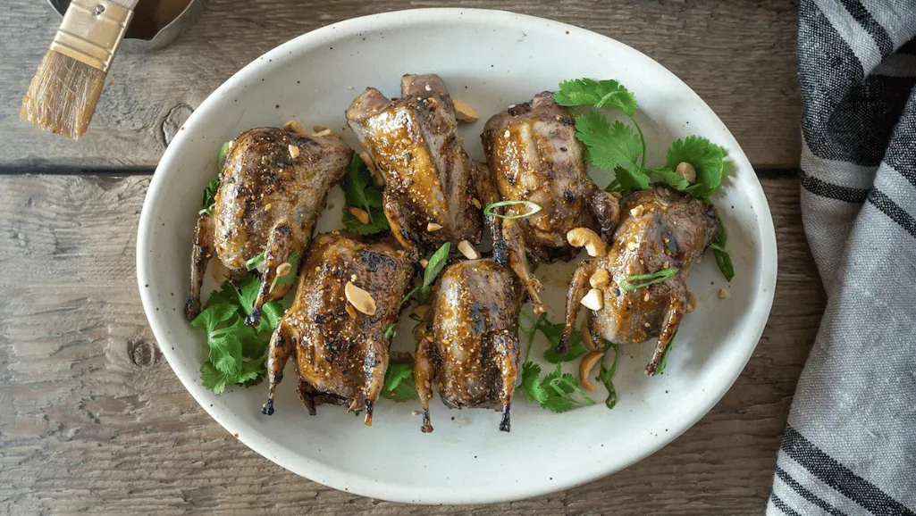 Preparing and cooking dove meat for optimal dove health Preparing and cooking dove meat for optimal dove health