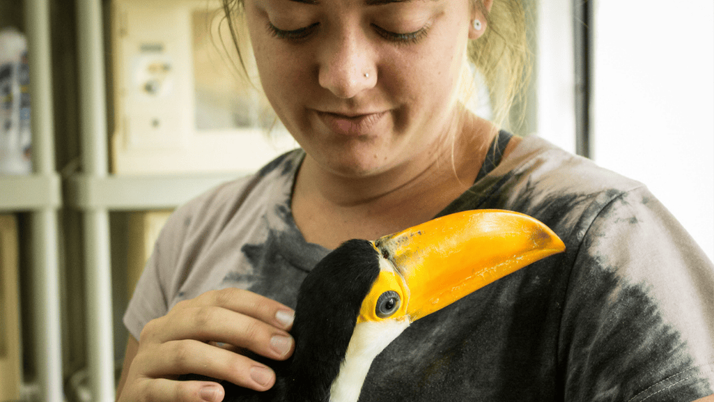 bird health services