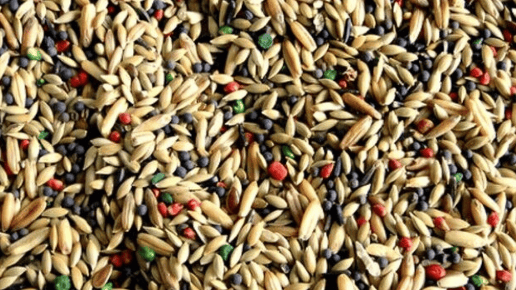 canary seed mix composition