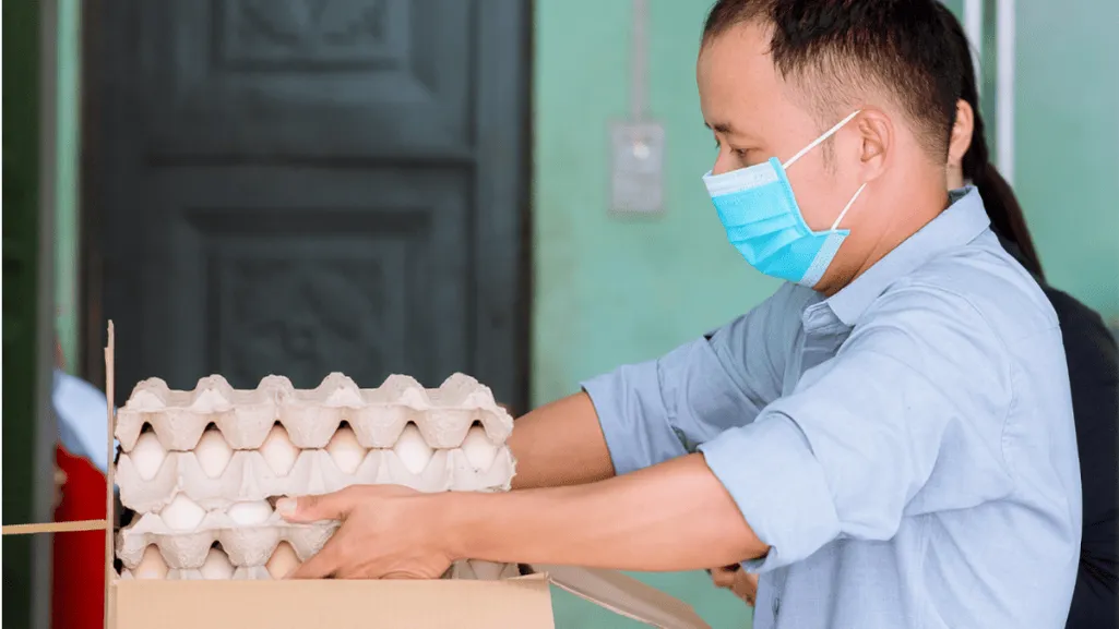 Egg handling