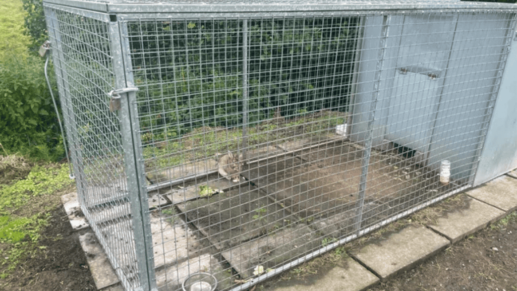 enclosure
