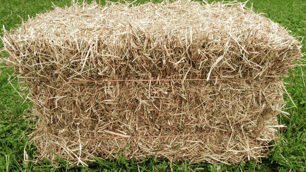 hay