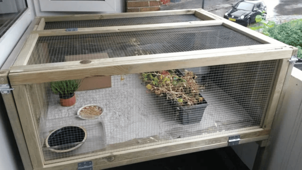 Building Plans for Quail Enclosures