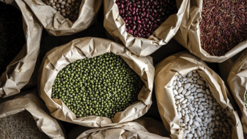 Decoding Parrot Food Ingredients