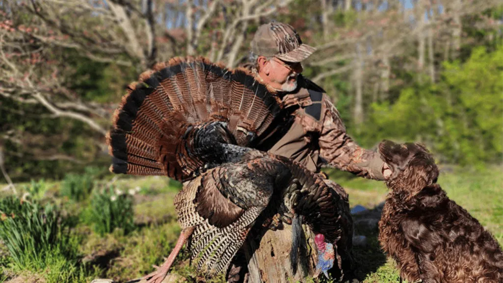 Overhunting Extensive hunting for food and fashion