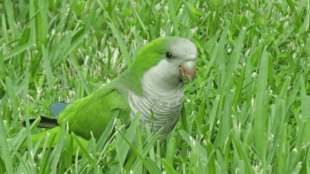 The Impact of Poor Nutrition