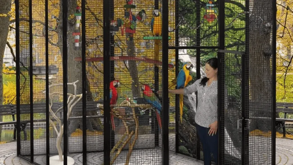 Aviary Design