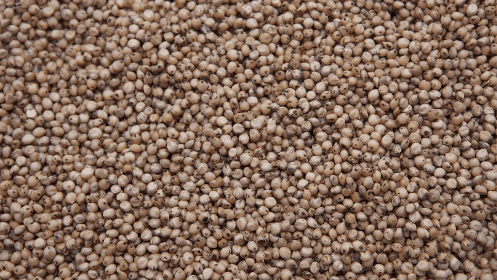 milo and corn fillers