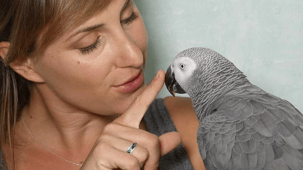 parrot body language