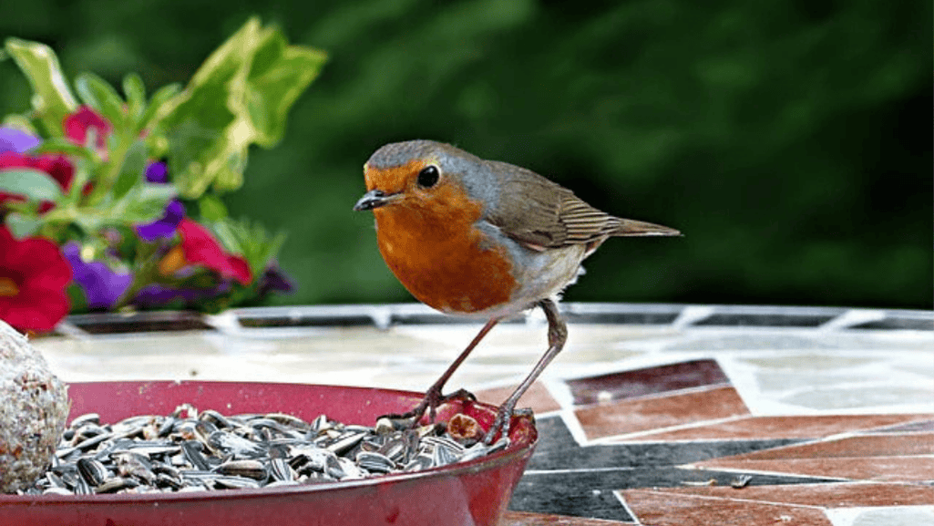 Best Bang for Your Buck